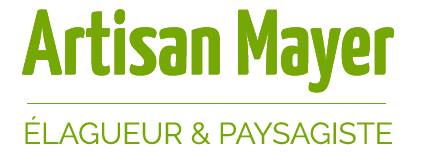 Artisan mayer  Palaiseau